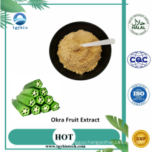 Pure Lady Finger Powder Okra Fruit Extract Powder